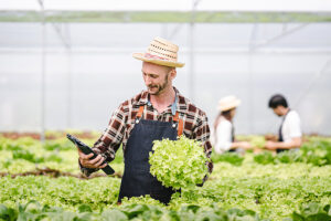 The Future of Farming: How Biotechnology is Transforming Agriculture #3